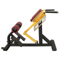 Adjustable Weight Bench Roman Chair Back Muscle Trainer